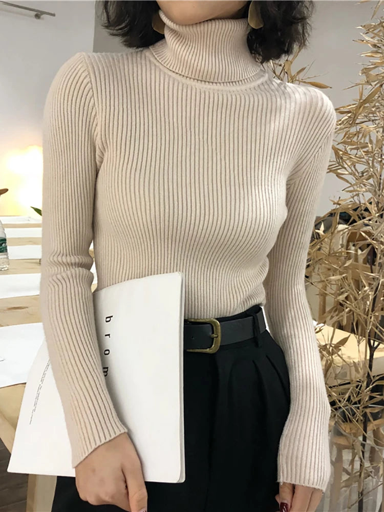 Turtleneck Sweater Womens