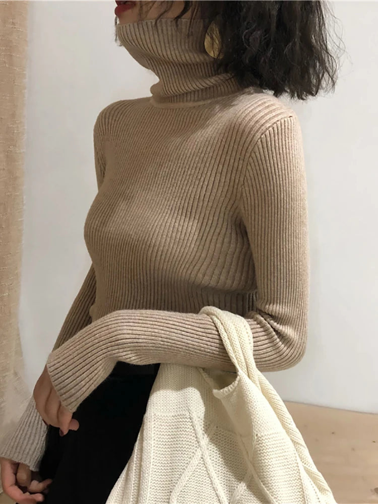 Turtleneck Sweater Womens