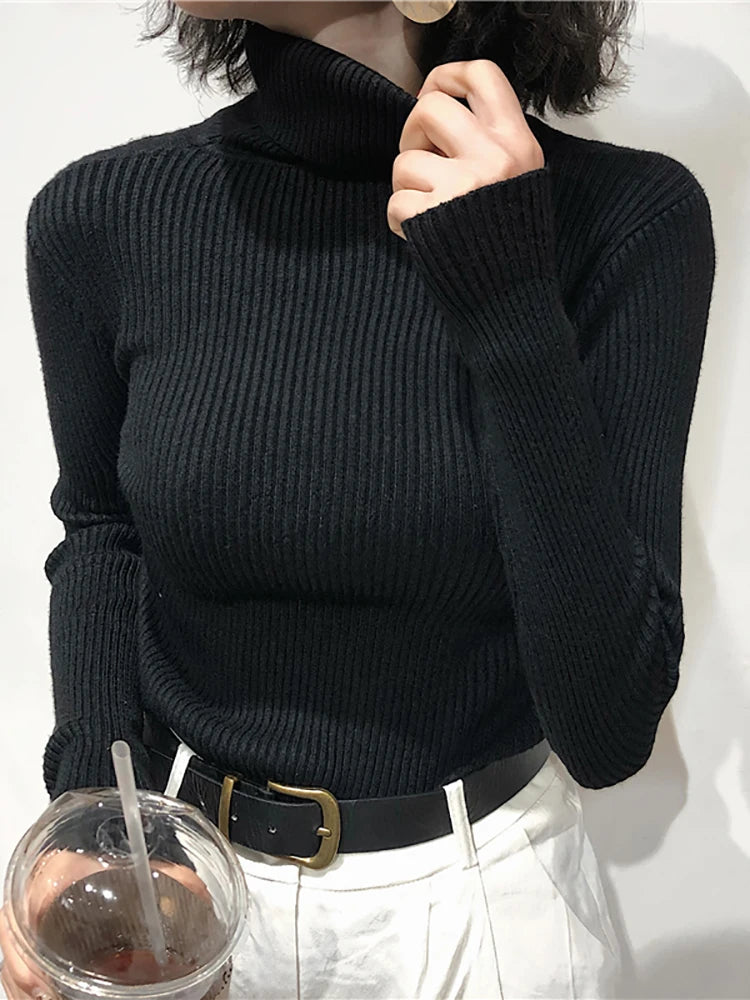 Turtleneck Sweater Womens